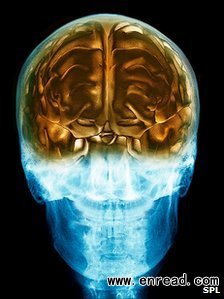 the brain can change its structure in response to experience and practice