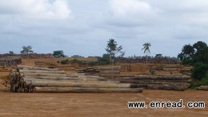 up to 60% of liberia's rainforests are thought to have been granted to logging companies
