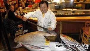 kiyoshi kimura <a href=